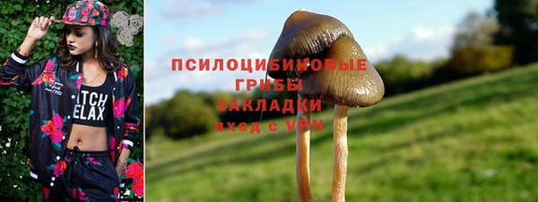 гидропоника Арсеньев