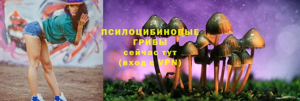 гидропоника Арсеньев
